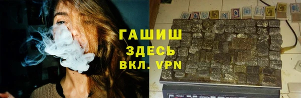 ECSTASY Алзамай