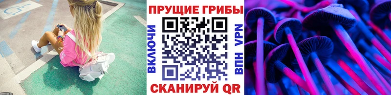 Псилоцибиновые грибы MAGIC MUSHROOMS  где купить   Комсомольск 